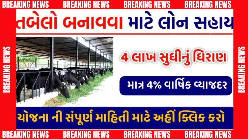 દૂધ-પશુપાલકો માટે ખુશખબર: સરકાર આપશે તબેલા બનાવવા ભારી સહાય – અરજી કરવાની છેલ્લી તારીખ ચૂકી ના જશો! તબેલા લોન યોજના ગુજરાત: ખેડૂતો માટે મોટી ખુશખબર!