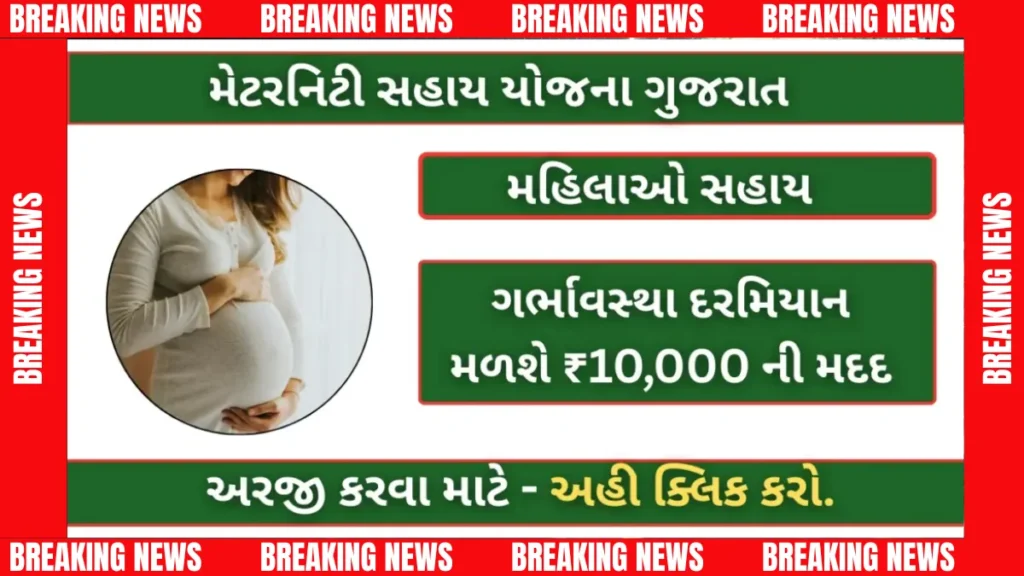 મેટર્નિટી અસિસ્ટન્સ સ્કીમ